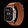 Apple Watch Ultra 3 (2025), 49 мм корпус из титана цвета «Natural», ремешок Alpine Loop размера L цвета «Terra Cotta»