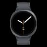 Часы Samsung Galaxy Watch8 LTE 44мм Graphite, графит