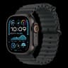Apple Watch Ultra 2 (2024), 49 мм корпус из титана цвета «Black», ремешок Ocean Band цвета «Black»